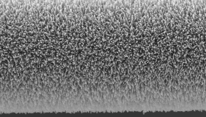 Cilium-like fibers protruding from a carbon fiber cylinder at microscopic scale